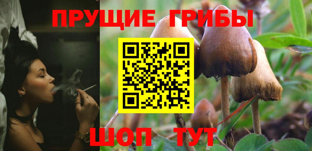 Псилоцибиновые грибы ЛСД  Вход с VPN  Ялуторовск 